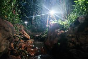 BIB: 
                            <button type="button" onclick="openModal(26416524)" class="btn btn-primary btn-sm float-right btn-popup" data-toggle="modal" data-target=".modal-high-quality">
                        <i class="fas fa-shopping-cart"></i> Add to Cart
                    </button>
                                            <button type="button" onclick="isThisMe(26416524, true)" class="btn btn-success btn-sm float-right btn-popup btn-isme hidden" data-toggle="tooltip" data-placement="bottom" title="นี่คือรูปของคุณใช่ไหม คลิกที่นี่เพื่อเอาเข้าอัลบั้ม">
                        <i class="fas fa-plus"></i> Add to album
                    </button>
                    <button type="button" onclick="isThisMe(26416524, false)" class="btn btn-warning btn-sm float-right btn-popup btn-isnotme hidden">
                        <i class="fas fa-ban"></i> Remove from album
                    </button>